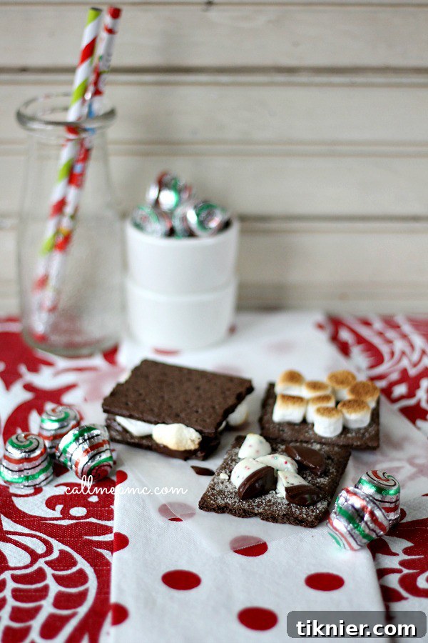 40+ Chocolate Peppermint Treats 42 Indoor Chocolate Peppermint S’mores, a cozy winter treat by Call Me PMc