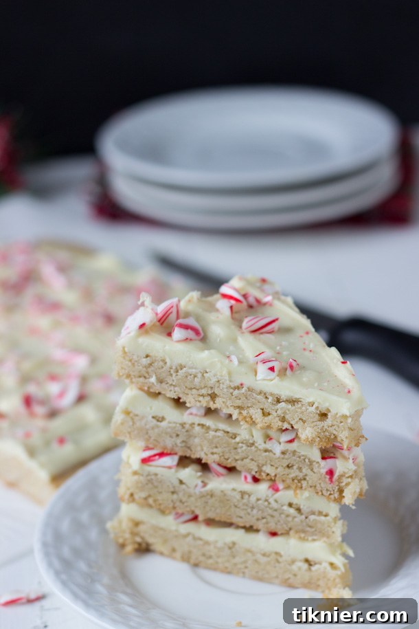 40+ Chocolate Peppermint Treats 45 Peppermint Spiced Cookie Bark, a unique and flavorful holiday treat by Blahnik Baker
