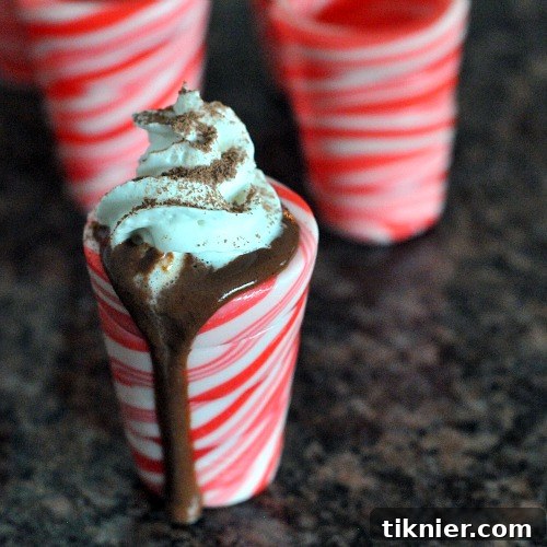40+ Chocolate Peppermint Treats 10 Festive Hot Chocolate Peppermint Shots, perfect for holiday parties from Spabettie