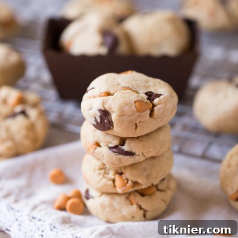 Soft Butterscotch Chocolate Chip Cookies on a cooling rack, showcasing their perfect shape and texture.