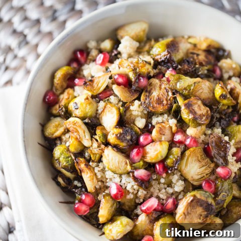 Roasted Brussels Sprouts with Quinoa and Pomegranate, a delicious and healthy vegetarian meal.