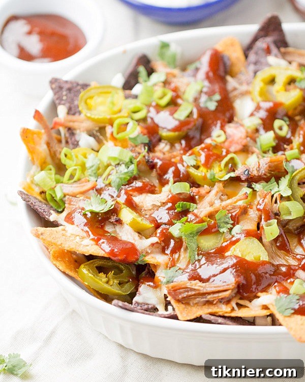 Memorable Appetizers from 2014 12 pulled pork bbq nachos3