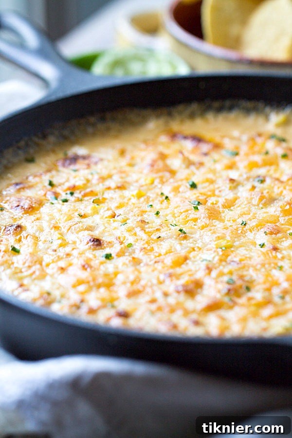 Memorable Appetizers from 2014 4 The BEST Cheesy Chipotle Shrimp Dip you'll ever get your hands on! Perfect for game day!