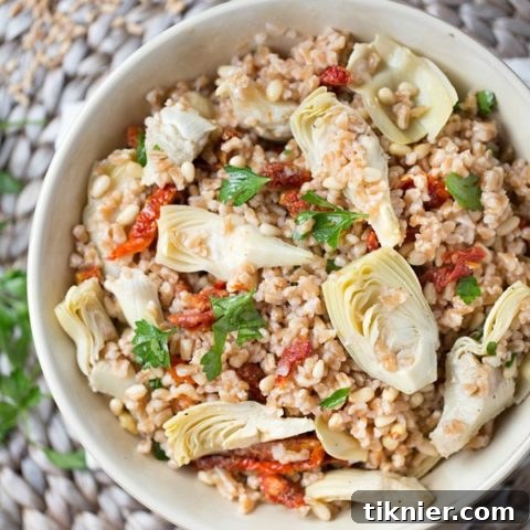 Farro Salad with Sun Dried Tomatoes and Artichokes