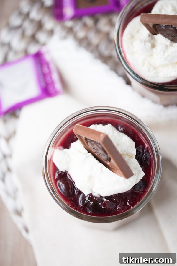 A close-up of a single chocolate pudding cup, revealing its creamy texture and fresh toppings.