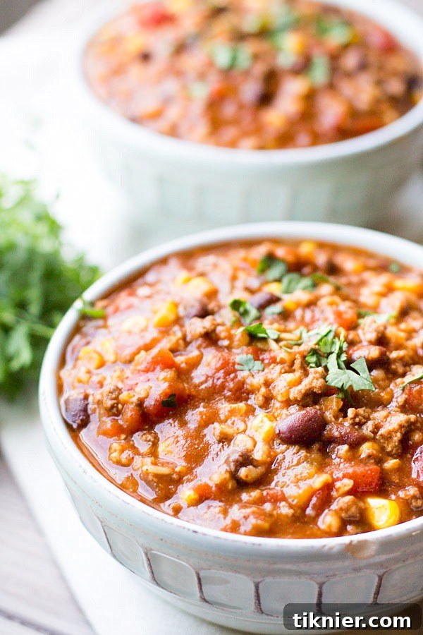 Slow Cooker Tex Mex Soup on This Gal Cooks