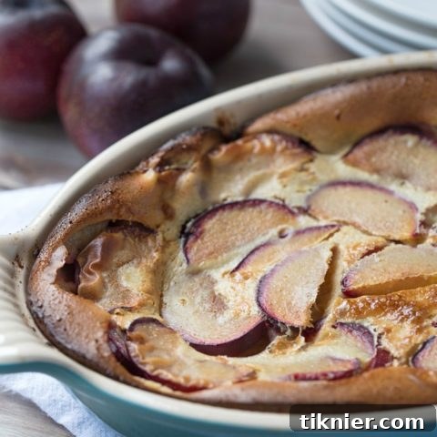 Plum Clafoutis