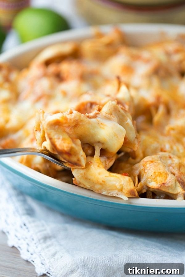 Five Ingredient Chicken Enchilada Tortellini Bake. Ready for dinner in under 30 minutes! | This Gal Cooks