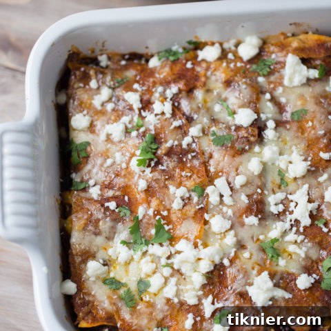 Vegetarian Enchilada Casserole with layers of corn tortillas, vegetables, black beans, walnuts, and cheese, baked to perfection.