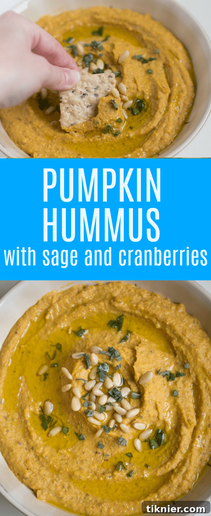 Pumpkin Hummus with Sage and Cranberries is a delicious appetizer that's full of bold flavors and perfect for fall parties!