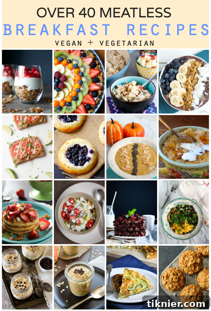 Delicious and diverse meatless breakfast recipes for vegan and vegetarian diets, showcasing over 40 options to start your day right.