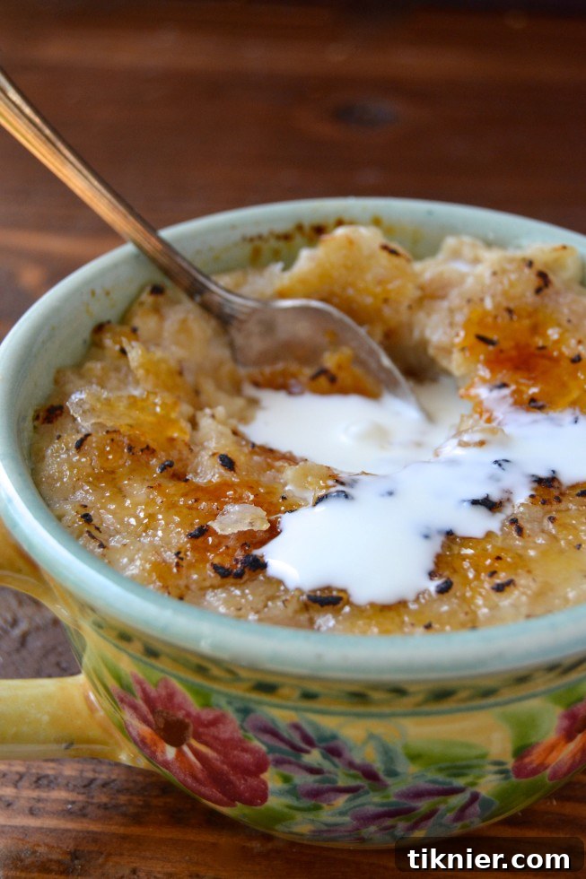 Gourmet Oatmeal Brulee, a delicious and vegan-friendly breakfast with a caramelized topping.