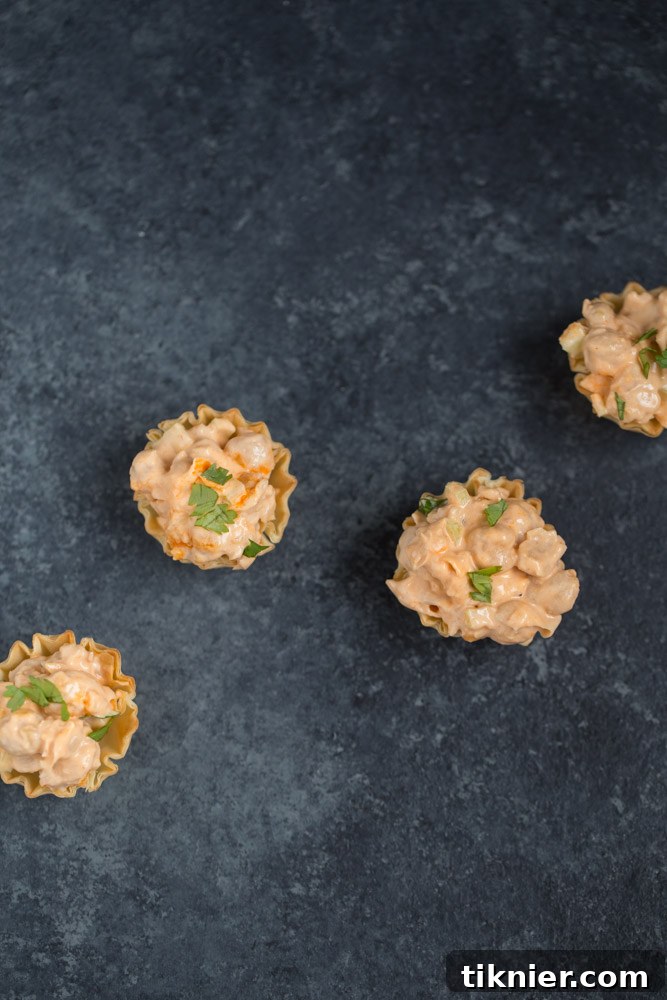 Spicy Plant-Based Buffalo Chickpea Salad 6 Beautifully presented Buffalo Chickpea Salad in a bowl with cilantro