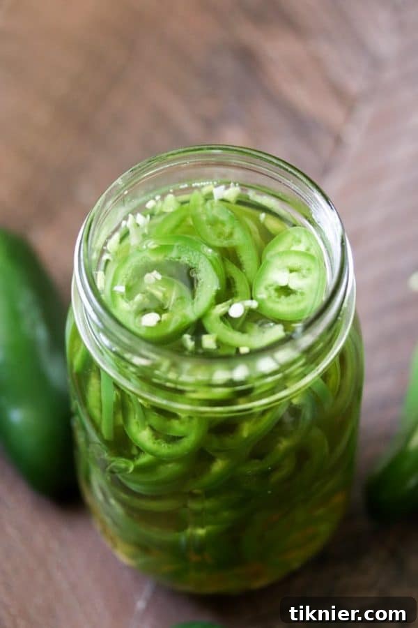 Instant Tangy Jalapeno Rounds 6 A beautiful, vibrant photo of a full jar of homemade quick pickled jalapenos, perfectly arranged and ready for refrigeration and enjoyment.