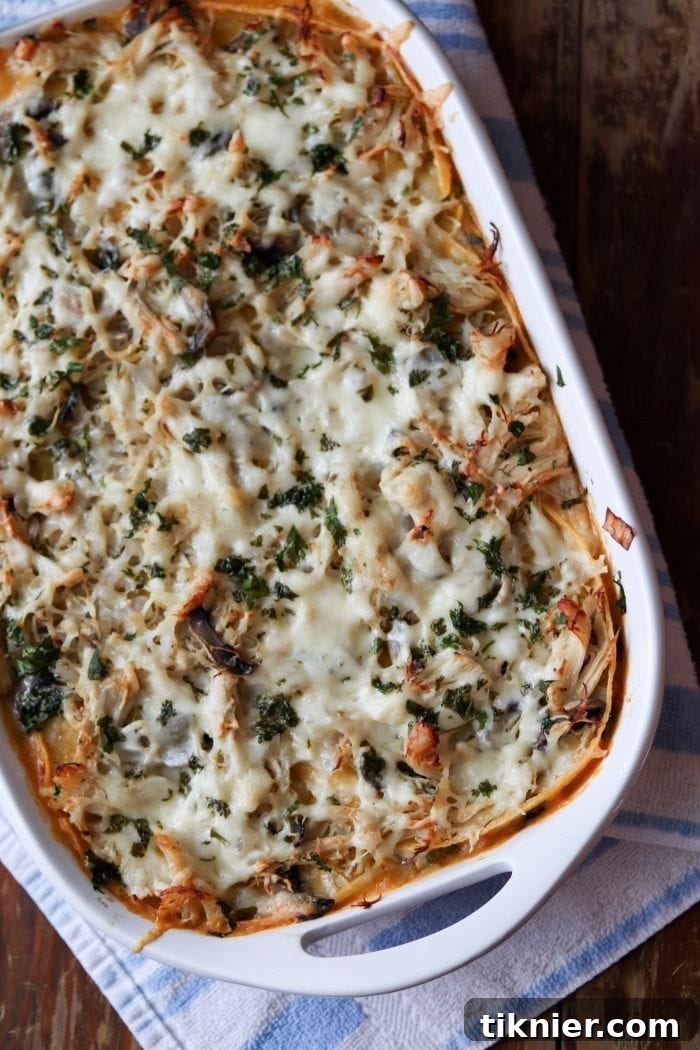 Ranch Royalty Chicken Casserole 3 Layers of creamy King Ranch Chicken Casserole with melted cheese, corn tortillas, and savory sauce. A perfect family dinner or potluck dish.