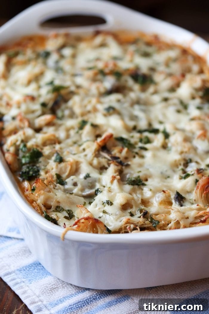 Ranch Royalty Chicken Casserole 7 A large serving of King Ranch Chicken Casserole on a plate, showcasing its creamy texture and melted cheese. A true Southern delight.