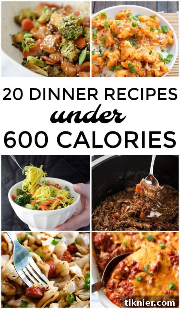 20 Satisfying Dinners Under 600 Calories 2 A diverse spread of healthy dinner recipes, including salmon, meatloaf, and various vegetarian options, all portioned under 600 calories for conscious eating. Perfect for weight management and nutritious meals.
