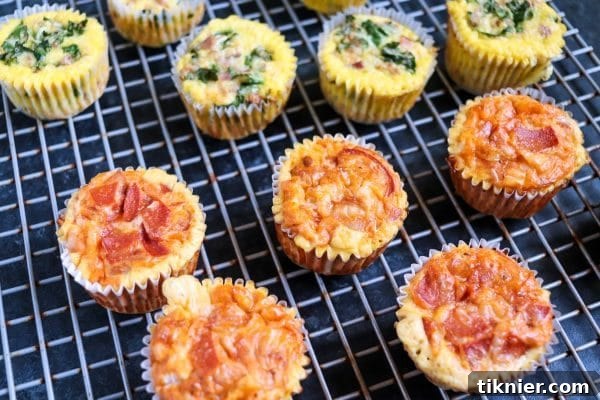 Keto Egg Muffins Two Flavorful Options 4 A close-up of a perfectly baked Keto Egg Muffin with visible ham, cheddar, and kale pieces, highlighting the fresh ingredients.