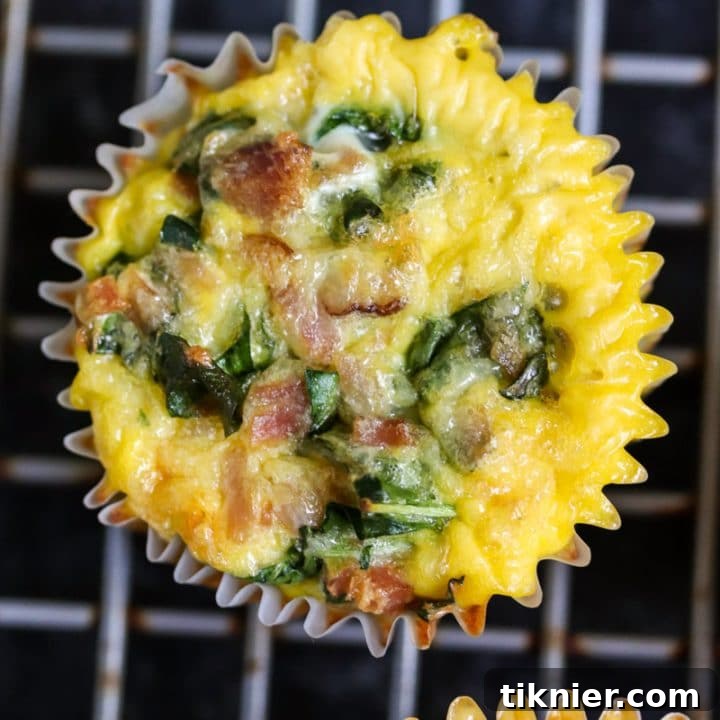 Keto Egg Muffins: Ham, Cheddar and Kale