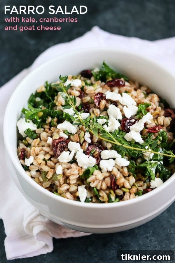 A beautifully presented bowl of Healthy Farro Salad with Kale, Cranberries, and Goat Cheese, showcasing its vibrant ingredients and inviting textures. This vegetarian salad is packed with nutrients and flavor, making it perfect for any meal. #vegetarian #salad #kale #healthy