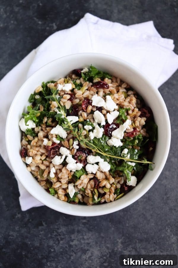 A close-up shot of the vibrant Farro Salad, showing the texture of the farro, the green of the kale, the red of the cranberries, and the white crumbles of goat cheese, ready to be enjoyed.