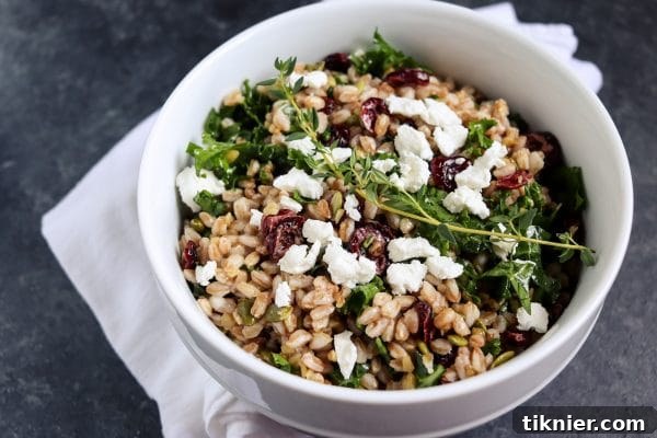 A wide shot of the Farro Salad in a bowl, with a serving spoon, highlighting its generous portion and appealing presentation.