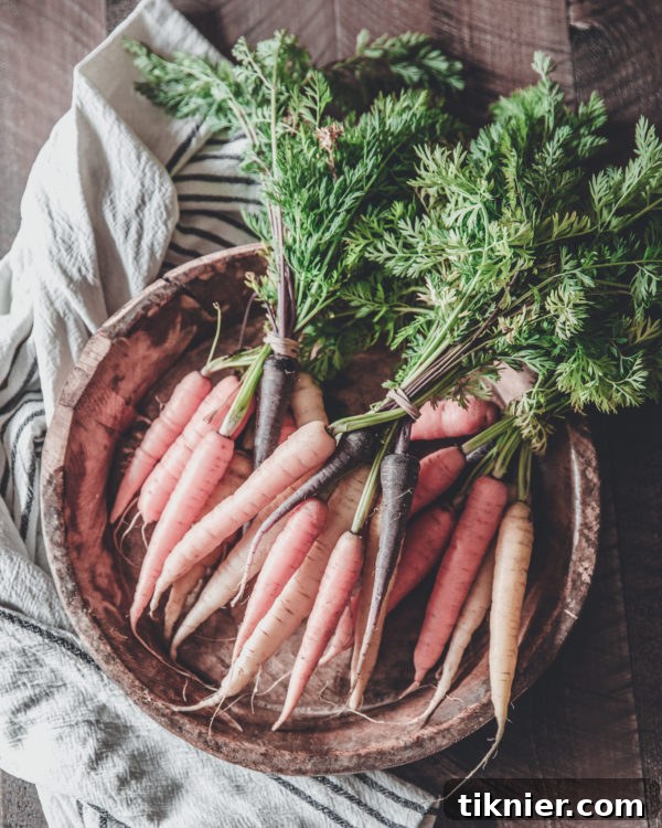 Golden Roasted Rainbow Carrots with Creamy Carrot Puree 4 Perfectly roasted rainbow carrots glistening in a cast iron skillet, fresh from the oven.