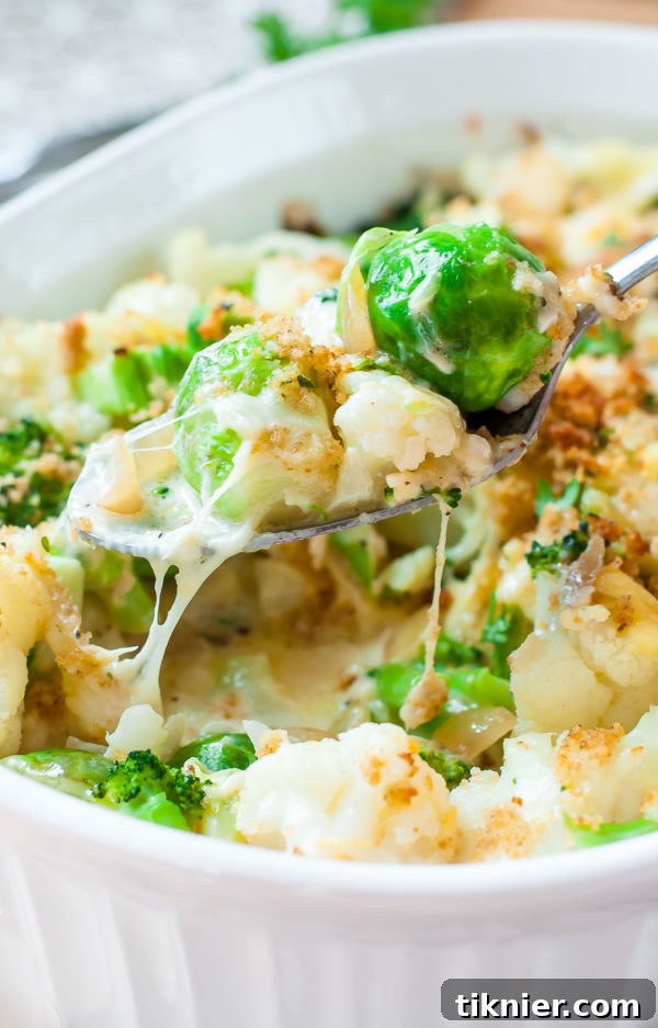 Luxurious Winter Veggie Gratin with broccoli, cauliflower, Brussels sprouts, and a cheesy béchamel sauce.