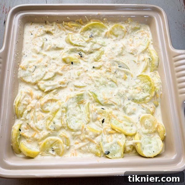 Filling the casserole dish