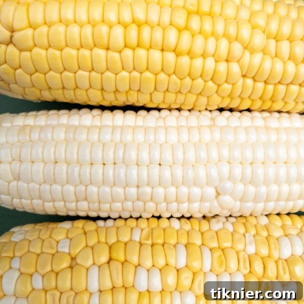 Selecting the freshest corn on the cob