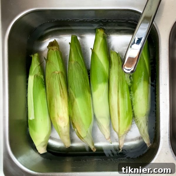Bright green corn husks for roasting