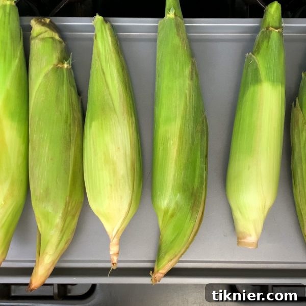 Spread the soaked corn out on a baking sheet