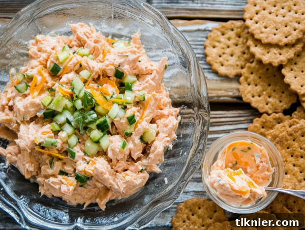 Delicious Tuna Salad Ready to Serve