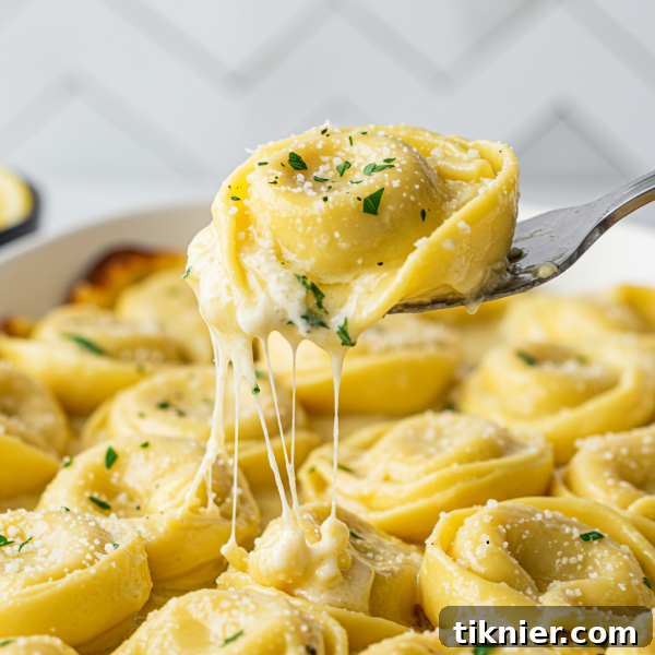 Unlock Delicious Tortellini: A Comprehensive Cooking Handbook 4 img 41072 3