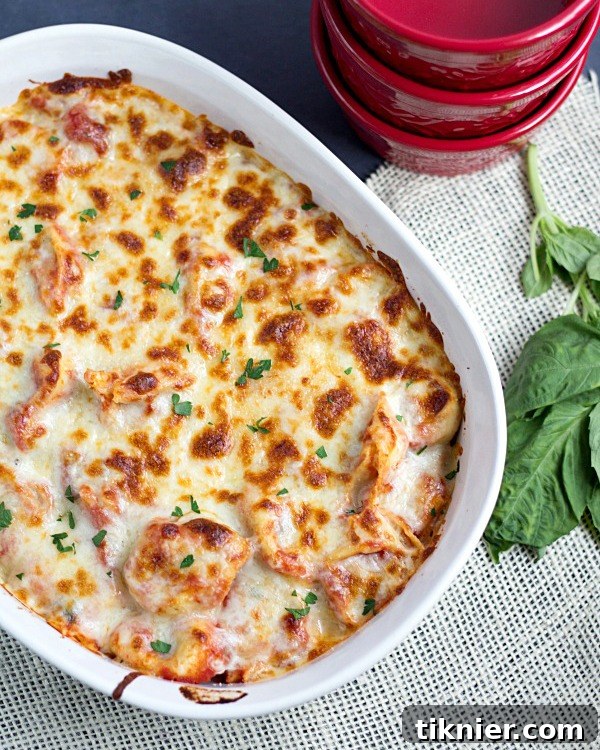 Unlock Delicious Tortellini: A Comprehensive Cooking Handbook 6 img 41072 7