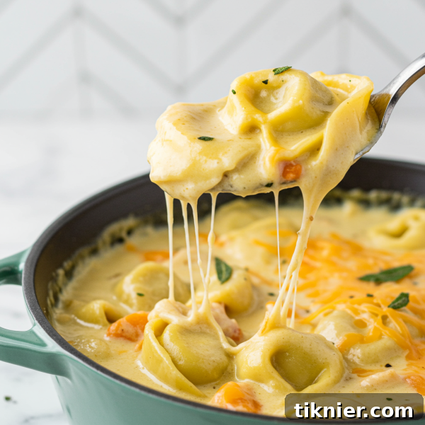 Creamy Chicken Tortellini Soup with Smoked Gouda and Crispy Sage