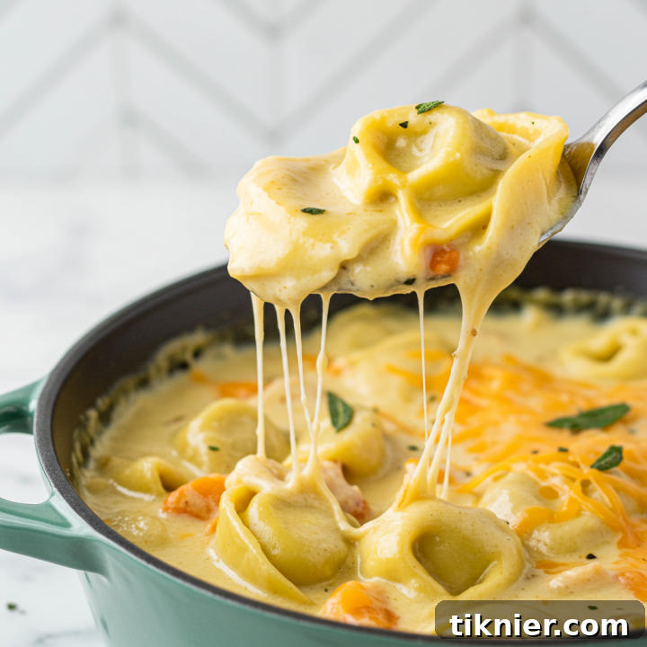 Creamy Chicken Tortellini Soup with Smoked Gouda and Crispy Sage