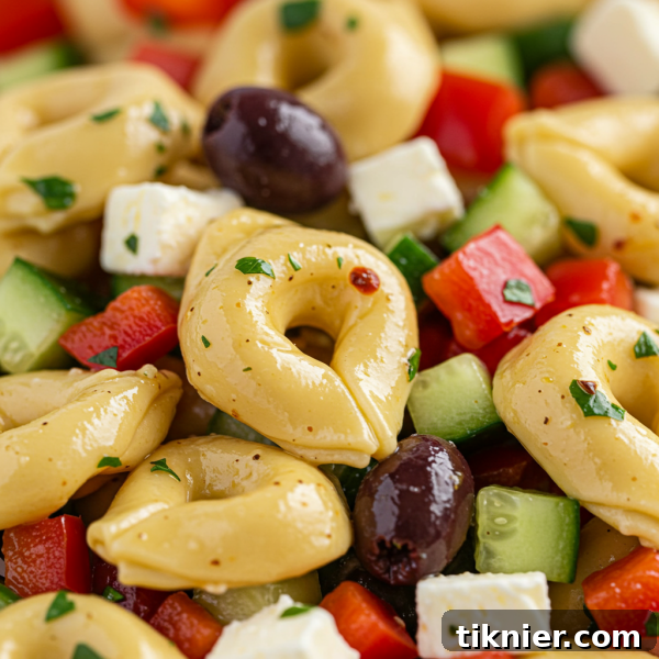 Close-up of Greek Tortellini Salad ingredients