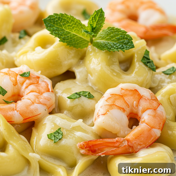 Ingredients for Shrimp Tortellini with Fresh Mint