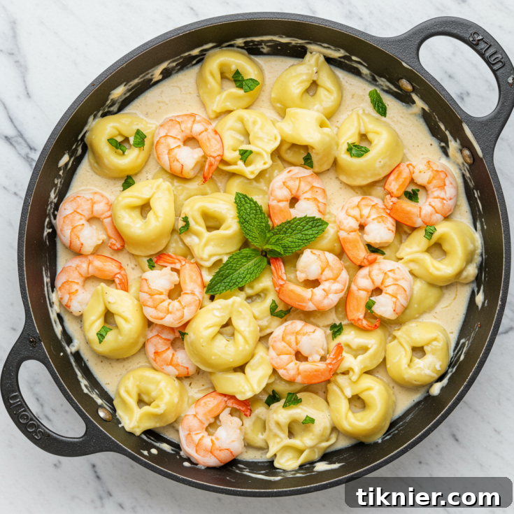 Shrimp Tortellini with Fresh Mint Recipe