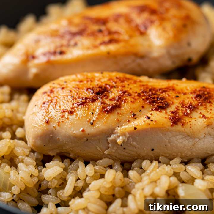 Easy Chicken and Rice with Smoked Paprika