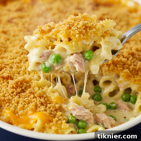 Creamy Tuna Casserole with Golden Panko Topping
