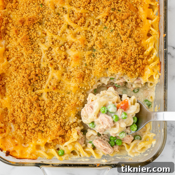 Delicious Tuna Casserole with Creamy Sauce and Crispy Topping