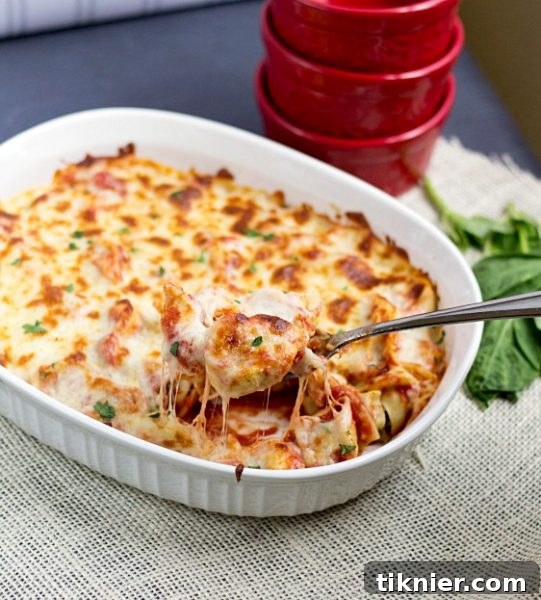 Twenty Minute Easy Tortellini Bake is a perfect weeknight dinner recipe. You'll have minimal cleanup and a delicious, cheesy dinner that everyone will love! #pasta #tortellini #dinner #recipe #cheese