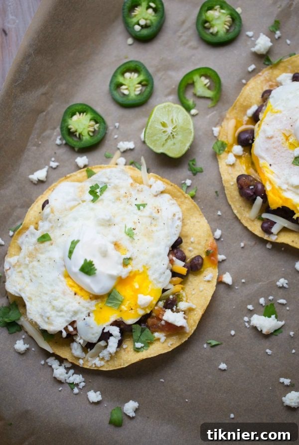 Scrambled eggs with roasted tomatoes and herbs in a pan