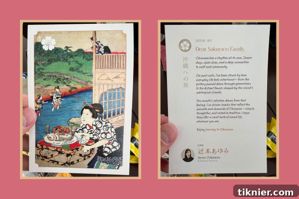 First Look Inside Sakuraco Snack Box