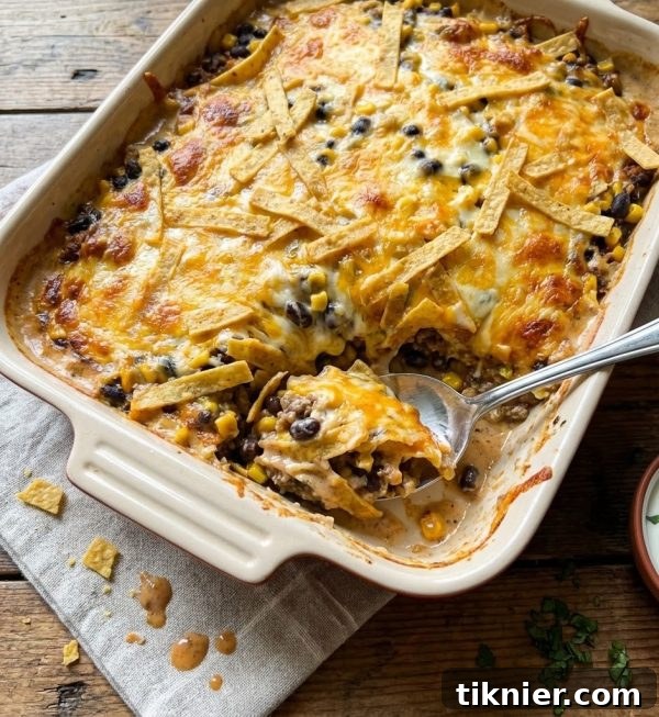 Delicious and bubbly cheesy taco casserole fresh from the oven, garnished with cilantro
